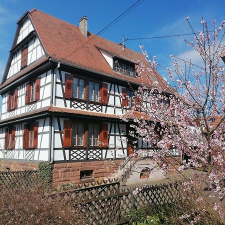 Appartement Et Terrasse Privee Ingolsheim Exterior foto
