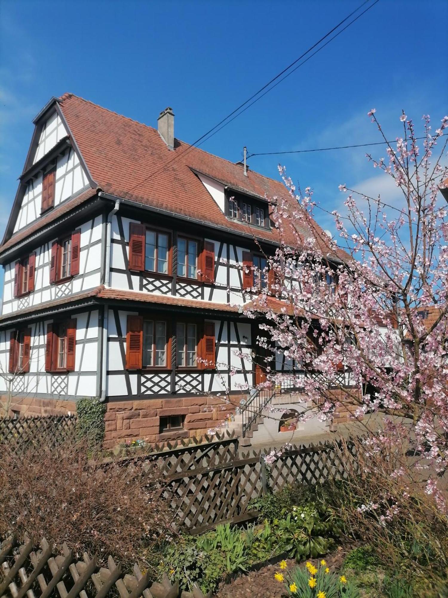 Appartement Et Terrasse Privee Ingolsheim Exterior foto